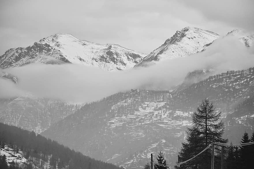 Berge, Schnee, Wolken, Nebel, Gipfel, Bäume, Winter, Landschaft, Natur, Alpen, alpin