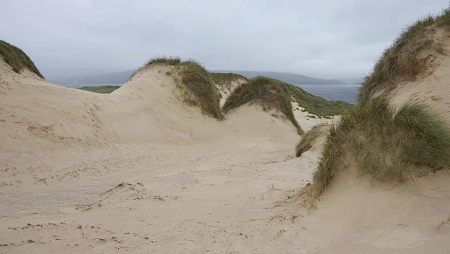 dunes de sorra, platja, vora del mar