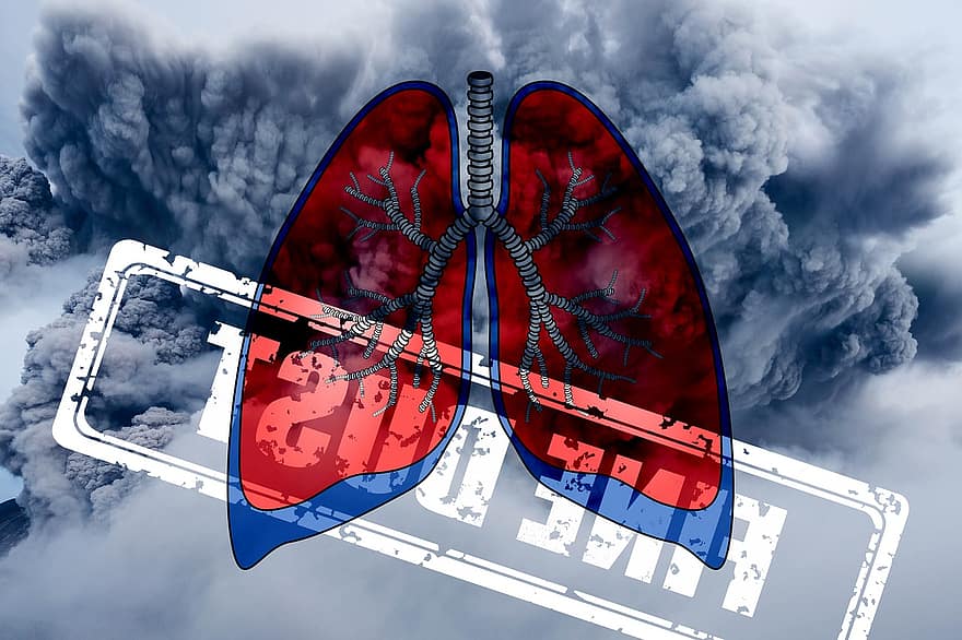 polmone, polveri sottili, Salute, polvere, Attenzione, Bronchi, scarico, aria, inquinamento dell'aria, Fumo, aerosol