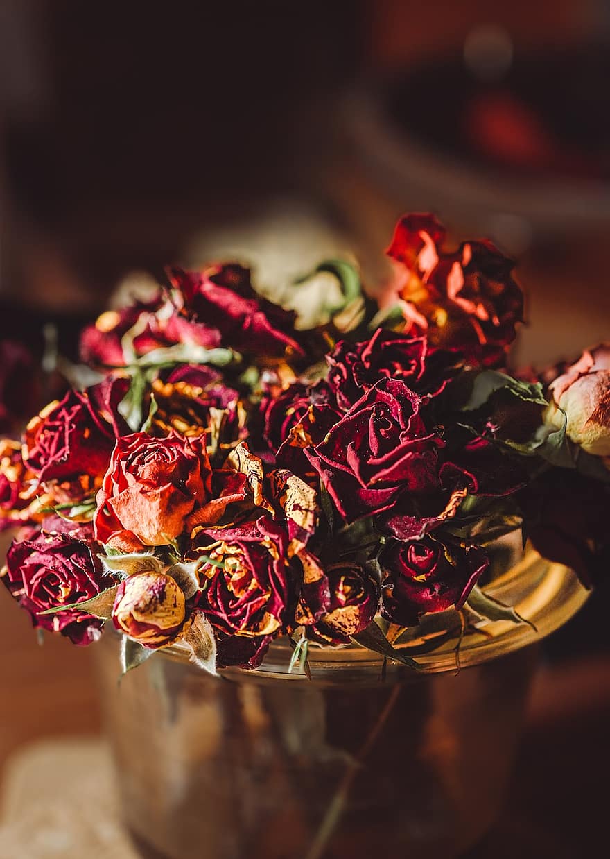 vase, fleur, des roses, décoration, séché, Floraison