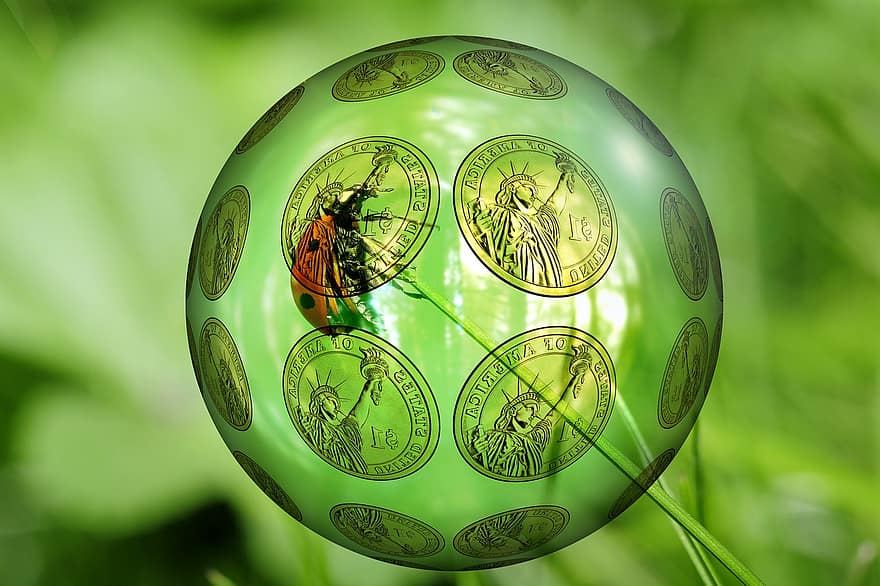 Environmental Protection, Nature Conservation, Ecology, Meadow, Grass, Blade Of Grass, Ladybug, Money, Dollar, Finance, Budget