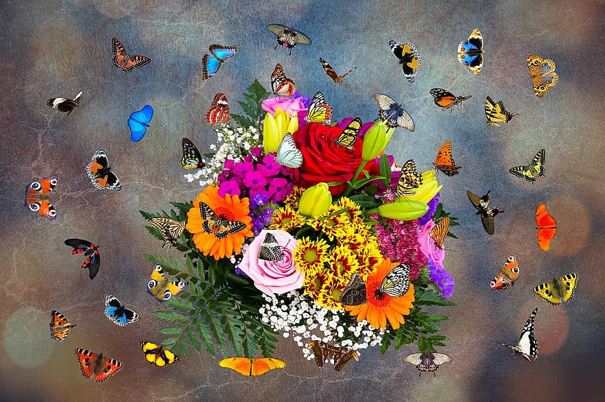 känslor, blommor, fjärilar, bukett, flygande, vinge, färgrik, djur, gratulationskort, nektar, alla hjärtans dag