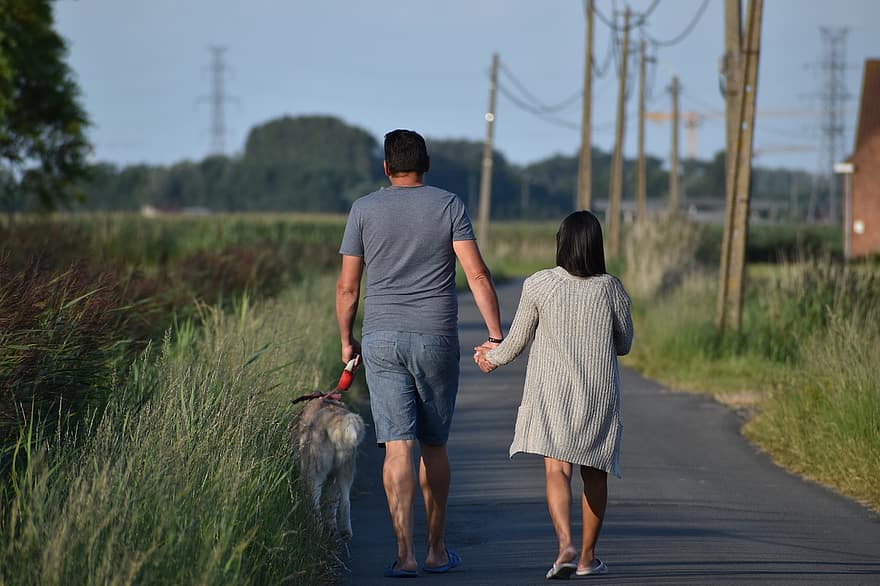 en marchant, promenade de chien, couple, tenant par la main, mari et femme, Petite amie et petit ami, promener le chien, animal de compagnie, un compagnon, loisir, des champs