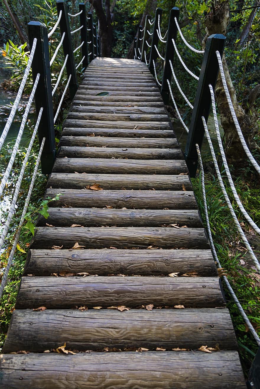 puente de madera, sendero, bosque, naturaleza, otoño, parque, puente