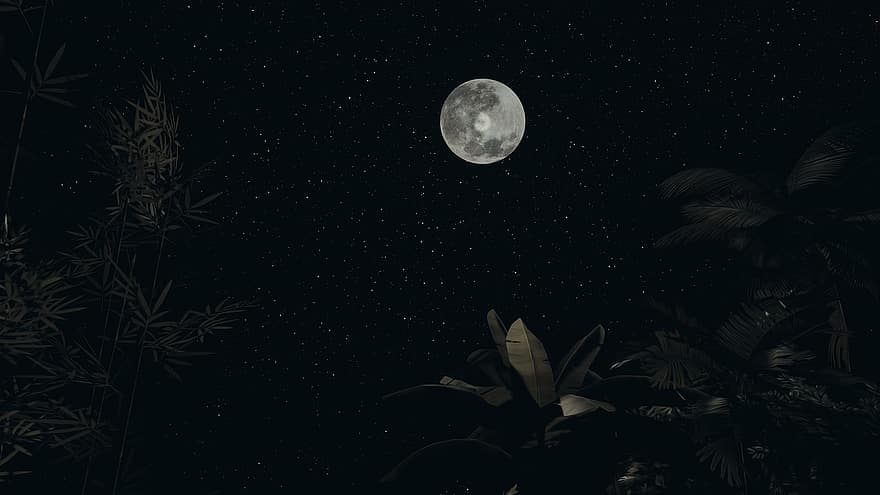 mėnulis, pobūdį, naktis, lauke, palydovą, vaizdas, dangus, tapetai, astronomija, kosmosas, galaktika