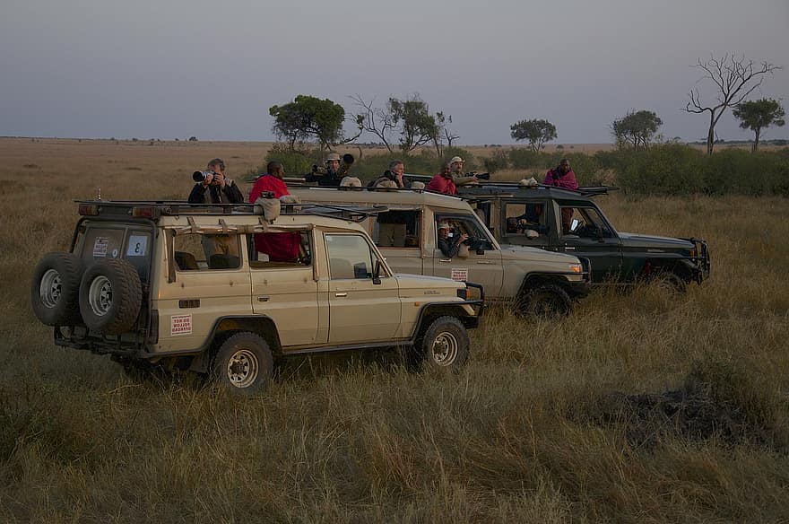 safari, afrika, turism, kenya, maasai mara, djurliv fotografering, äventyrsresa, terrängfordon, bil, grusväg, fart