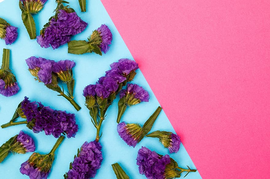 fiori, sfondo floreale, fiori viola, composizione floreale, motivo floreale, carta da parati floreale, vista dall'alto