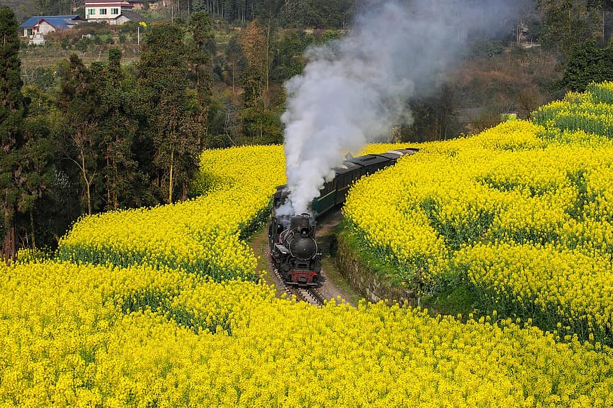 自然、旅行、列車、四川、楽山、レイプ
