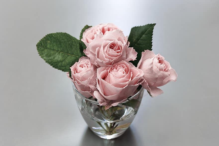 квітка, троянда, рожевий, ваза, цвітіння, пелюстки, букет, лист, пелюстка, романтика, Рослина