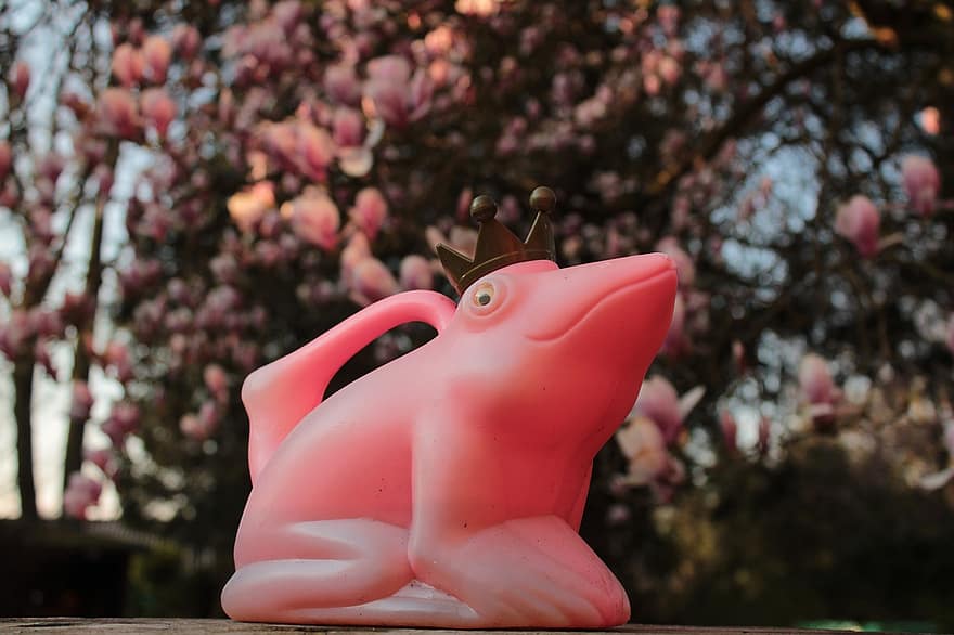 Frog, Frog Prince, Decoration, Pink Frog, Watering Can