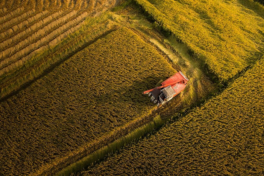 Çiftlik, Da Nang, tarım, ekilebilir arazi, alanlar, fidanlık, hasat, traktör birleştirmek, havadan görünüş, kuşbakışı, doğa