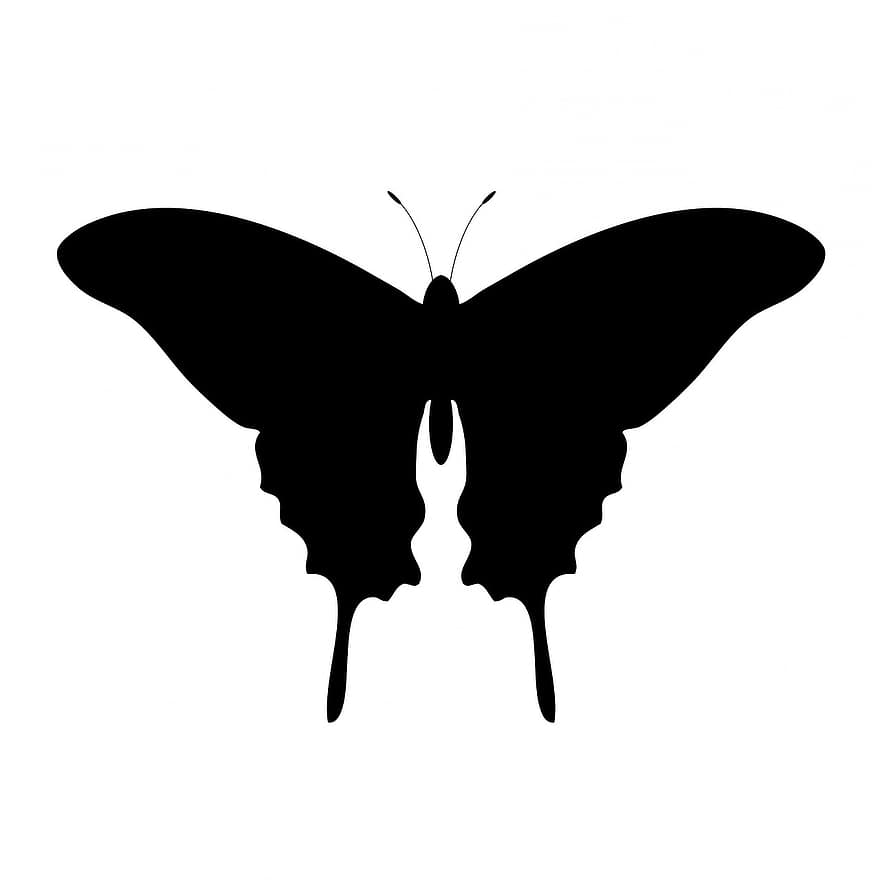 vlinder, dier, insect, zwart, silhouet, kunst