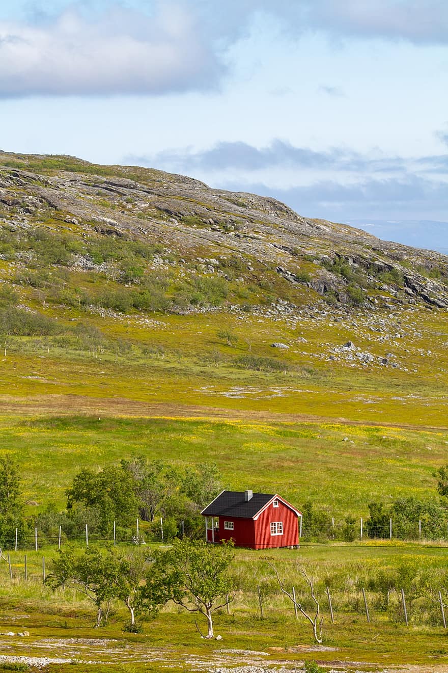 sommerhus, hus, arkitektur, bygning, lapland, norge, bjerg i Lappland, tundra, landlige scene, græs, bjerg