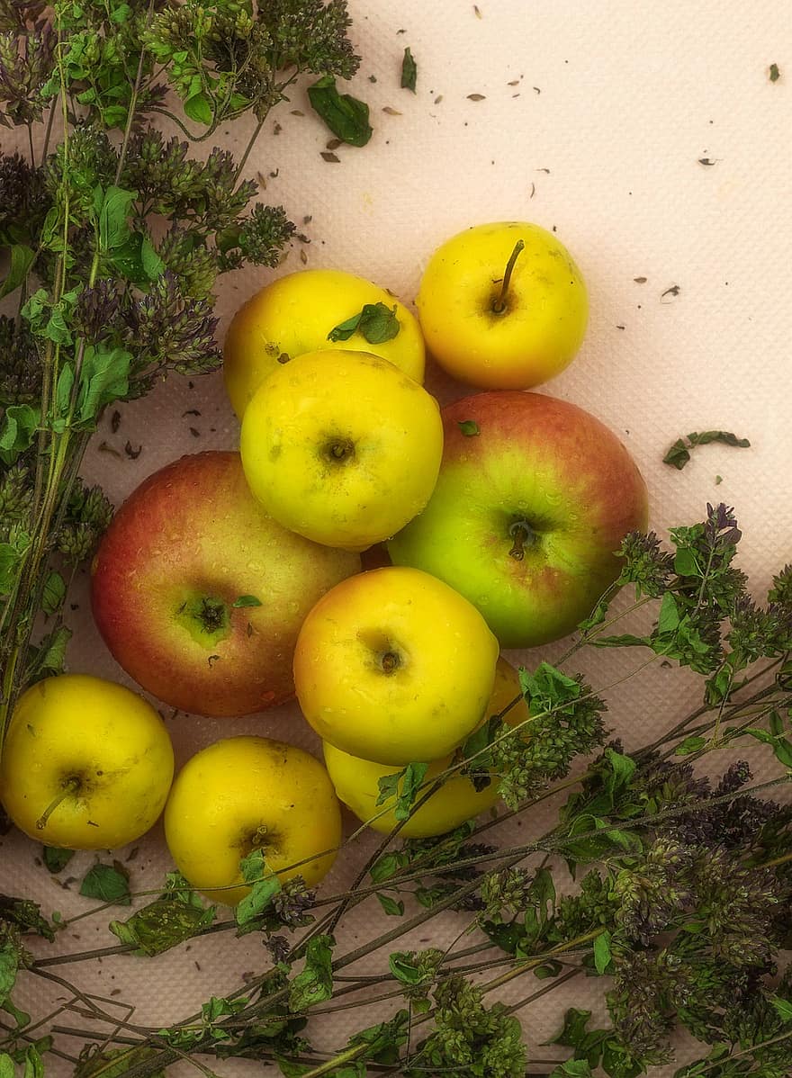 frutta, mele, raccogliere, salutare, nutrizione, biologico