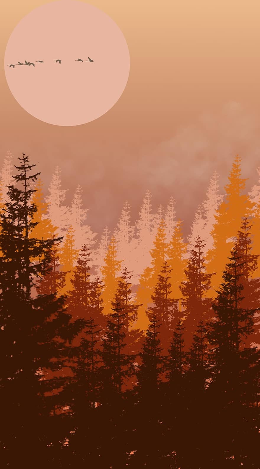 otoño, bosque, naturaleza, paisaje, árbol, temporada, antecedentes, puesta de sol, amarillo, hoja, ilustración