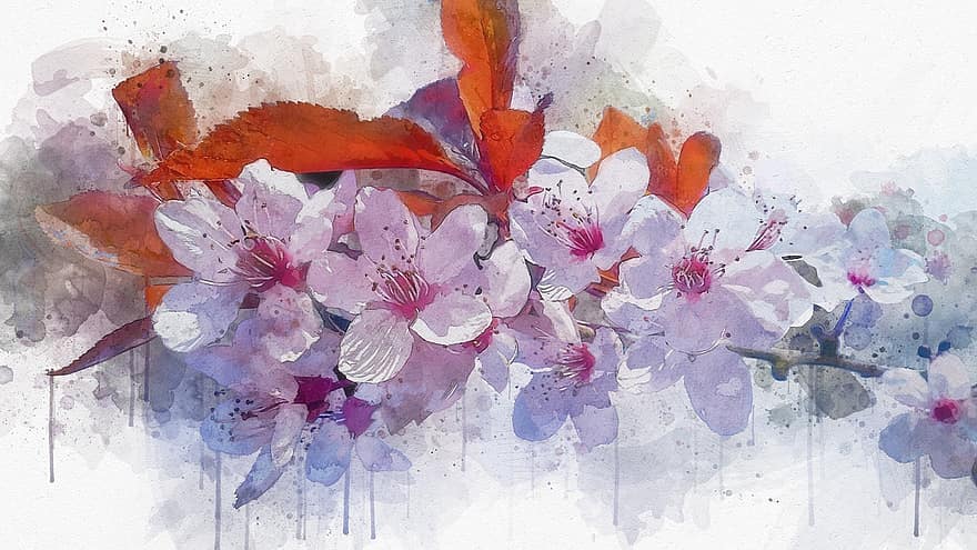 Kirschblüte, Blumen, Fotokunst, Ast, pinke Blumen, blühen, Frühling, japanische Kirschblüten, Pflanze, Kirsche, Rosa