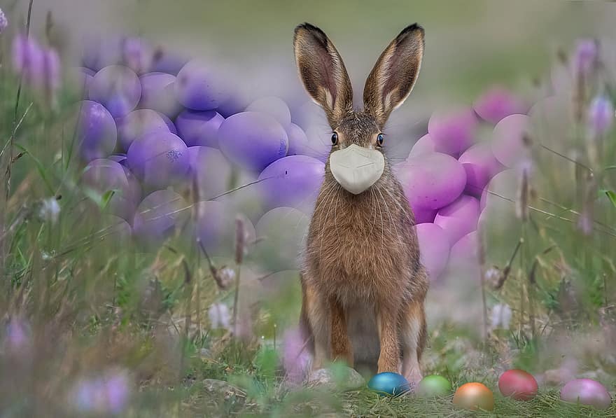 Пасха, кролик, яйца, пасхальные яйца, Пасхальный заяц, заяц, маскировать, коронавирус, маска для лица, уши кролика, весна