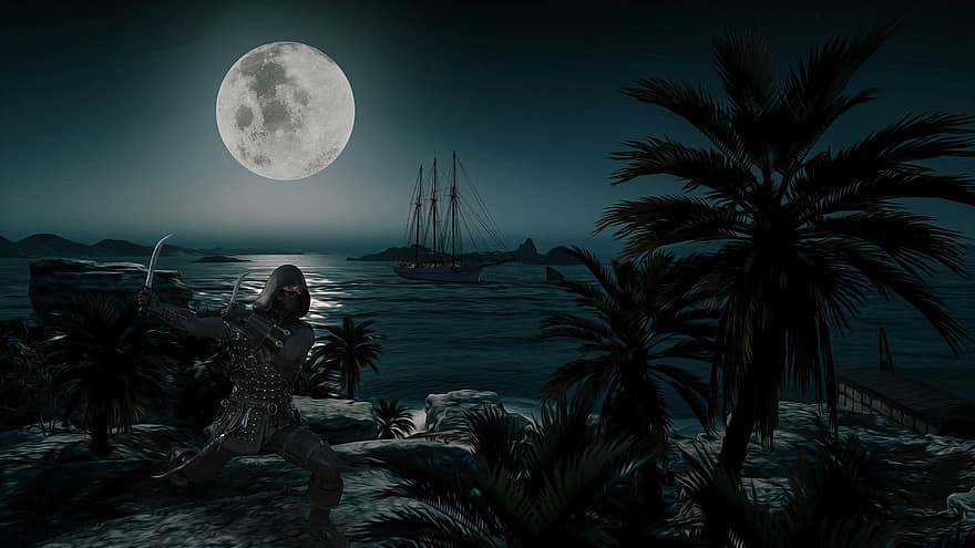 bakgrund, hav, måne, palmträd, ninja, fantasi, natt, män, nautiska fartyget, månsken, silhuett