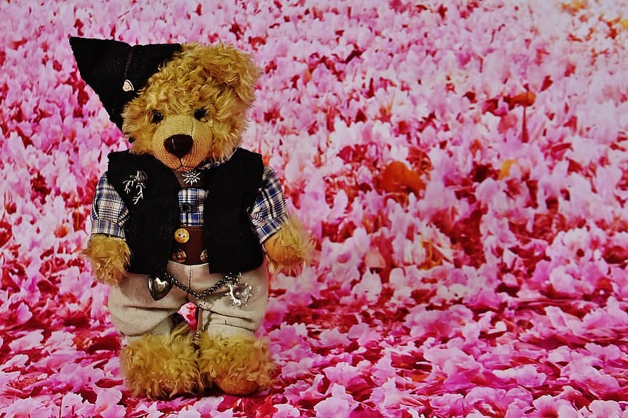 teddy, kosztüm, virágok, puha játék, kitömött állat, aranyos