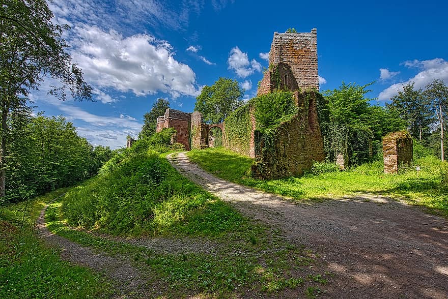 castillo, restos, edificio, hierba, pasto, abandonado, arboles, Odenwald