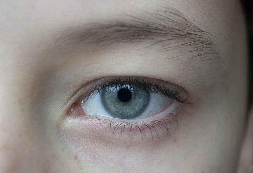 Auge, Vision, Sicht, Wimpern, Brauen, Iris, Augen, Nahansicht, menschliches Auge, blaue Augen, Pupille des Auges