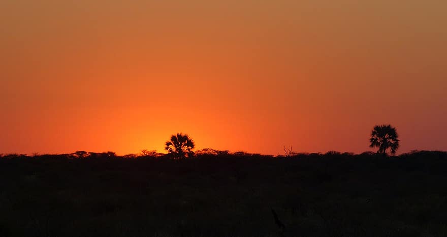 Afrika, etosha nasjonalpark, solnedgang, namibia, scenisk, landskap, skumring, bakgrunn