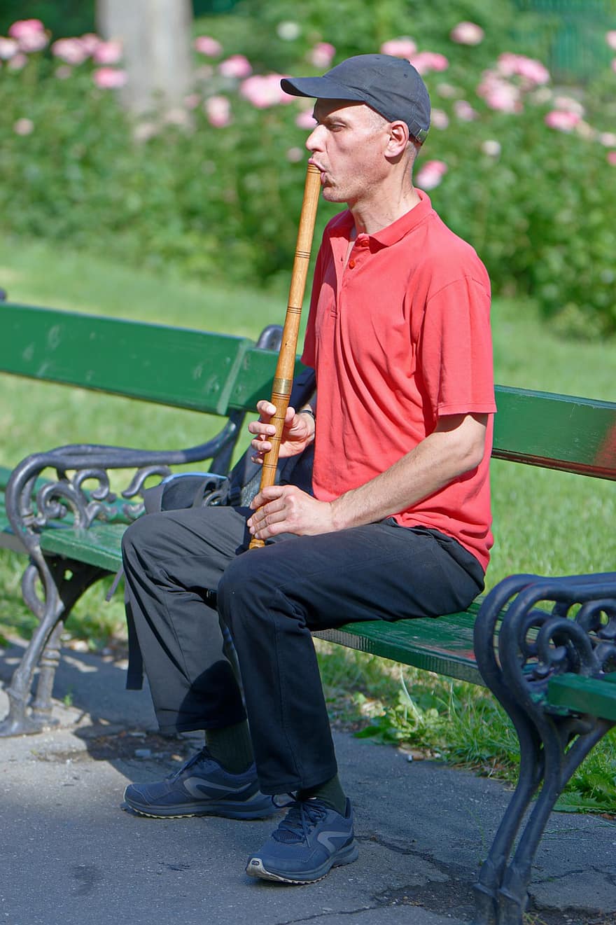 muž, pouliční muzikant, hudebník, větrný nástroj, park, venku