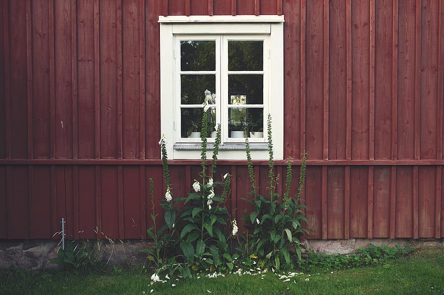 σπίτι, Σπίτι, παράθυρο, φυτό, φύση, γρασίδι