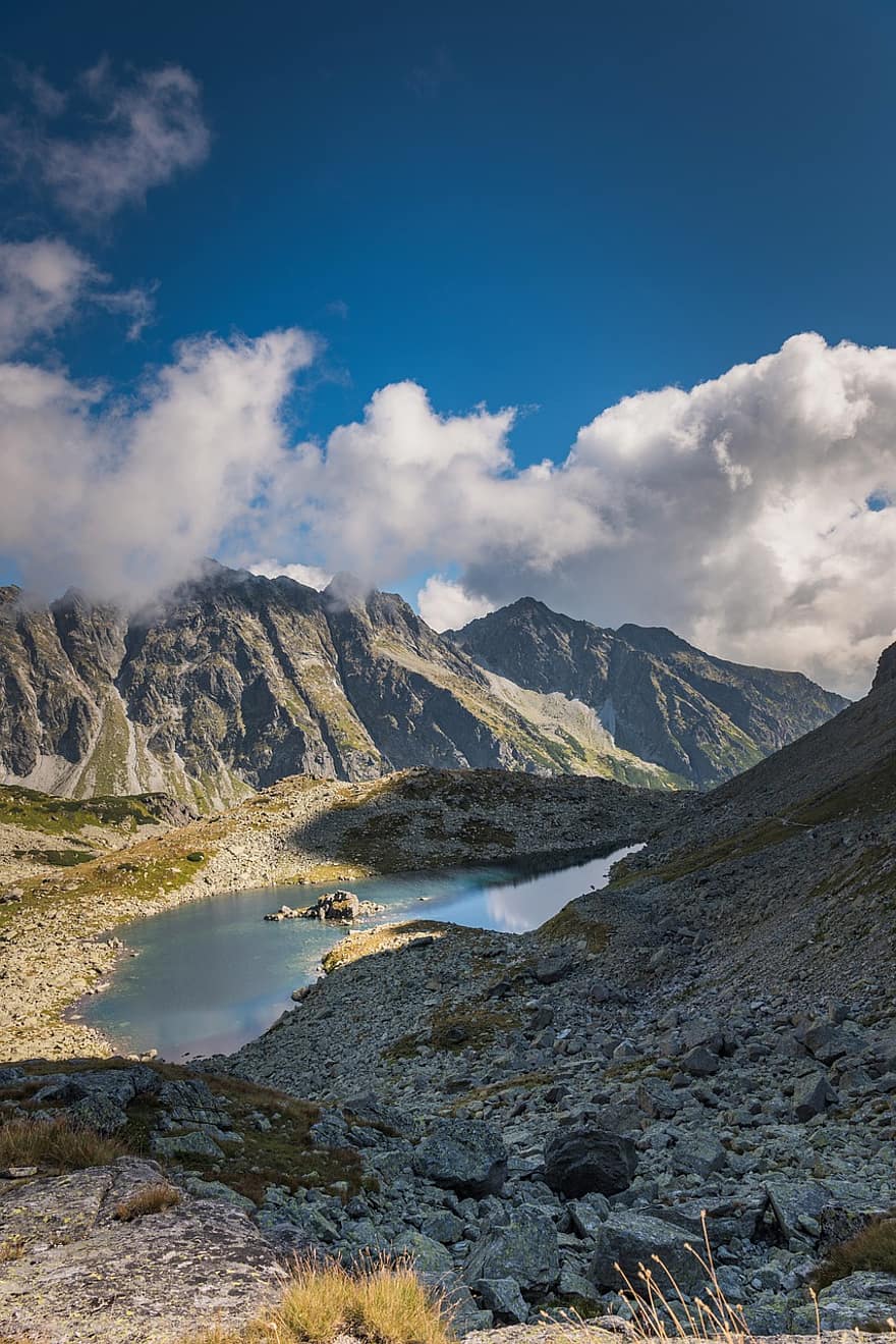 Monti Tatra, slovacchia, viaggio, giro, montagne, montagna, estate, paesaggio, picco di montagna, acqua, erba