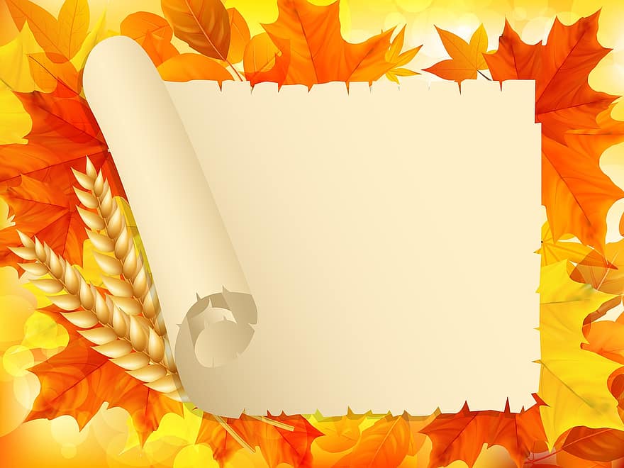 ringraziamento, confine del ringraziamento, astratto, autunno, sfondi, bandiera, confine, Design floreale, telaio, foglia, le foglie
