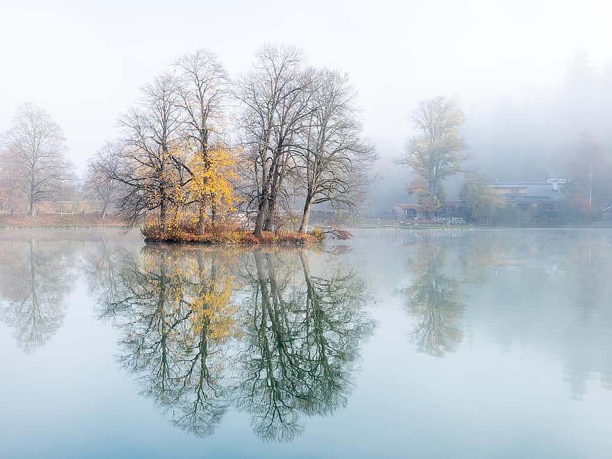 meer, bomen, mist, Trautenfels, Oostenrijk, eiland, natuur, water, reflectie, buitenshuis, herfst