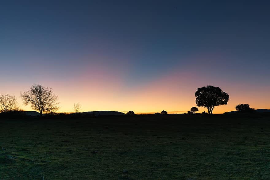 Twilight, Sunset, Field, Countryside, Landscape, dusk, tree, rural scene, sunrise, dawn, meadow