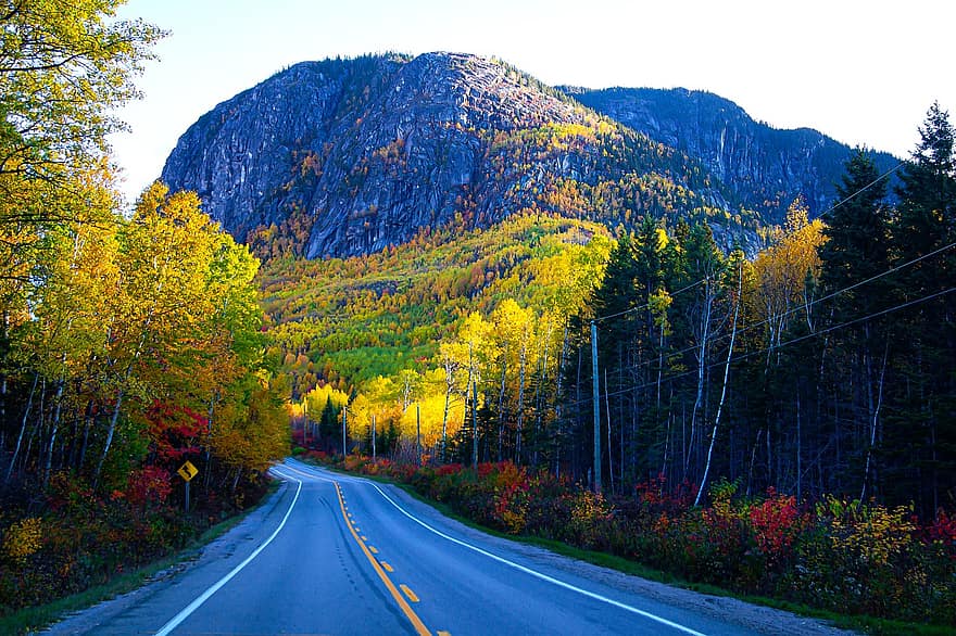 montañas, la carretera, arboles, otoño, bosque, bosques, calle, pavimento, colores de otoño, Otoño, temporada de otoño
