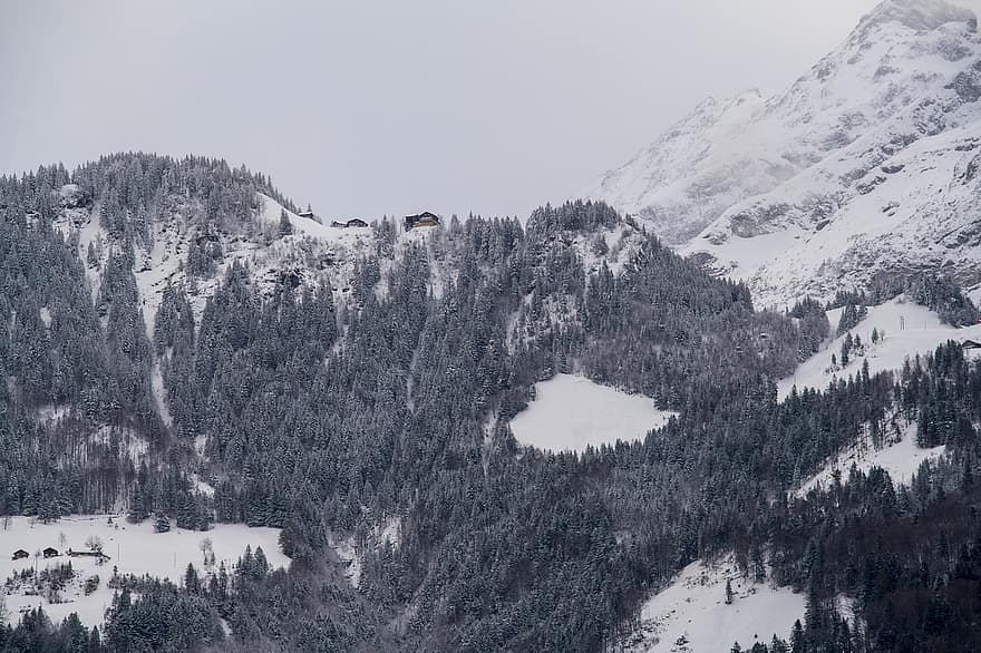 Houses, Hills, Village, Town, Switzerland, Winter