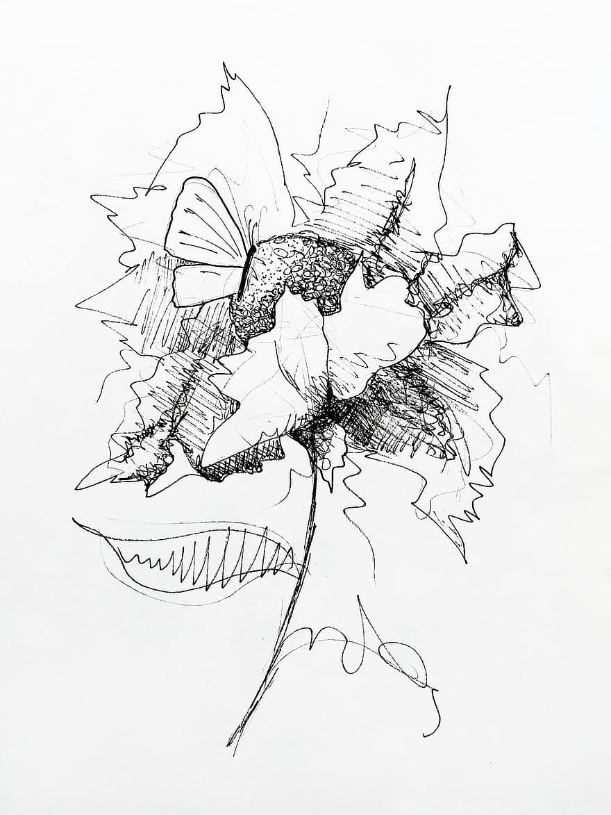 Flower, Sketch, Black And White Flowers, Bud, Hatch, The Lines, Circuit, Nature, Butterfly