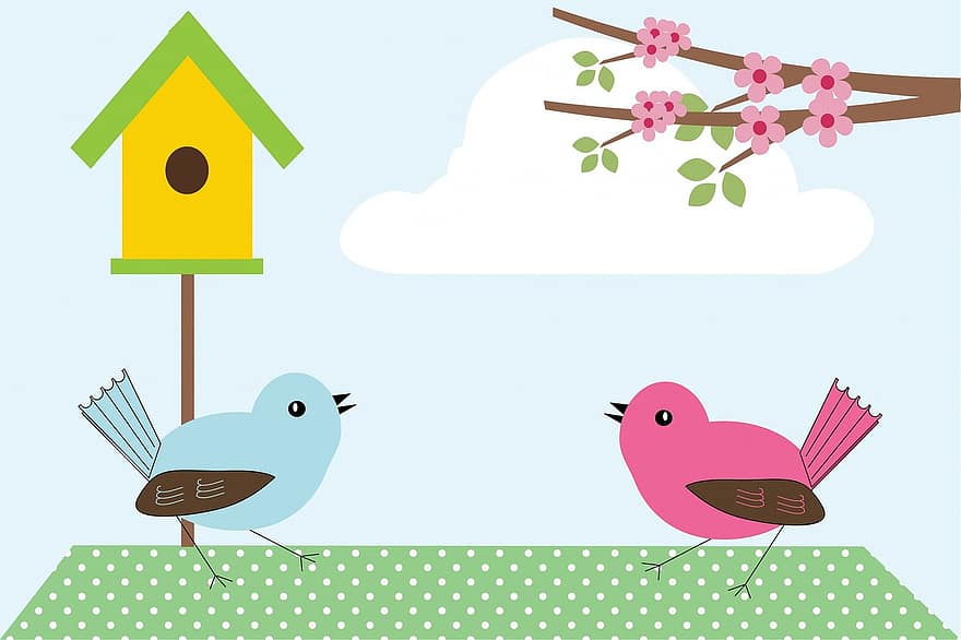 πουλί, πουλιά, αγάπη, χαριτωμένος, φαντασιόπληκτος, τέχνη, πουά, πράσινος, μπλε, ροζ, birdhouse
