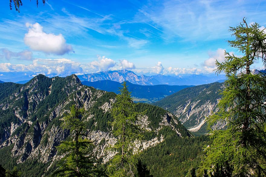 bergen, bergtop, Alpen, alpine, wolken, dennen, panorama, berg-, Bos, zomer, groene kleur