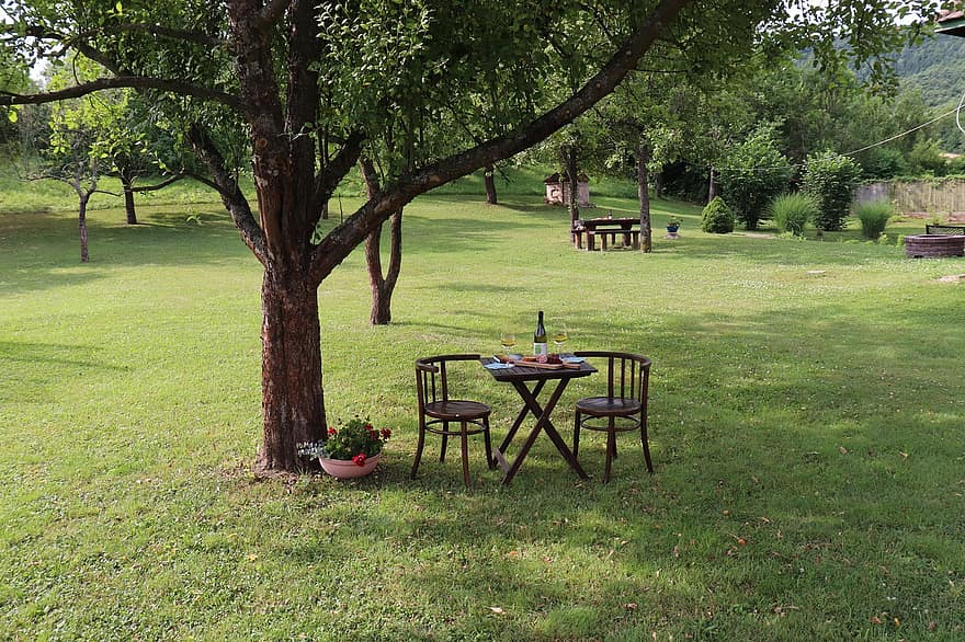 masă în aer liber, restaurant, grădină, masa, scaune, al fresco dining, în aer liber, peluză, copaci
