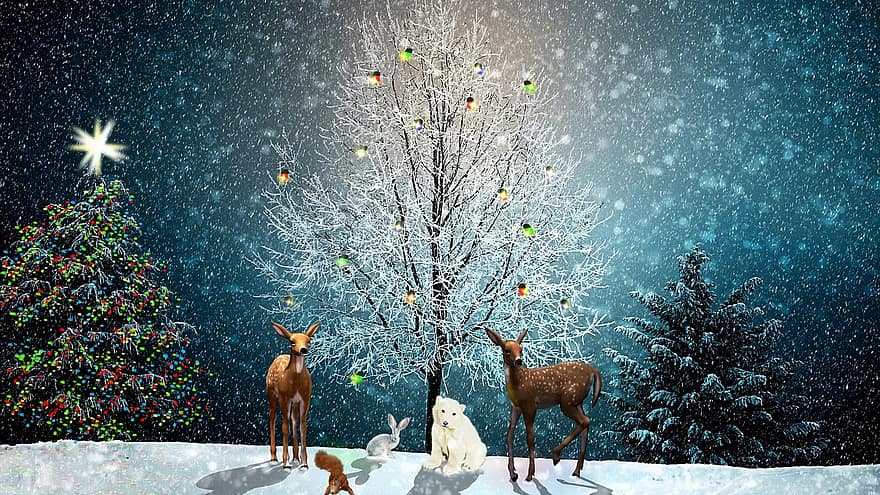 クリスマス、クリスマスツリー、グリーティングカード、動物たち、鹿、ウサギ、リス、ホッキョクグマ、休日、冬、お祝い