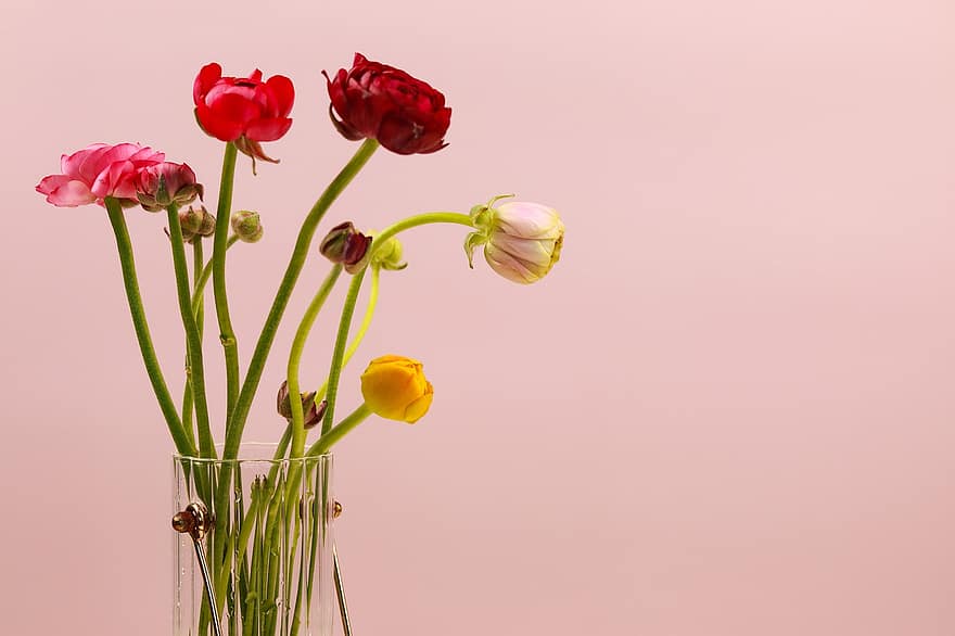 Flowers, Vase, Decoration, Peonies, Spring, Plant, Flower Vase