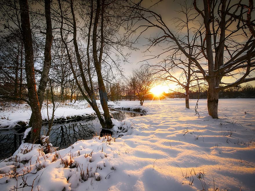 річка, струмок, дерева, заморожений, банку, зима, води, дзеркальне відображення, сніг, зимовий, природи