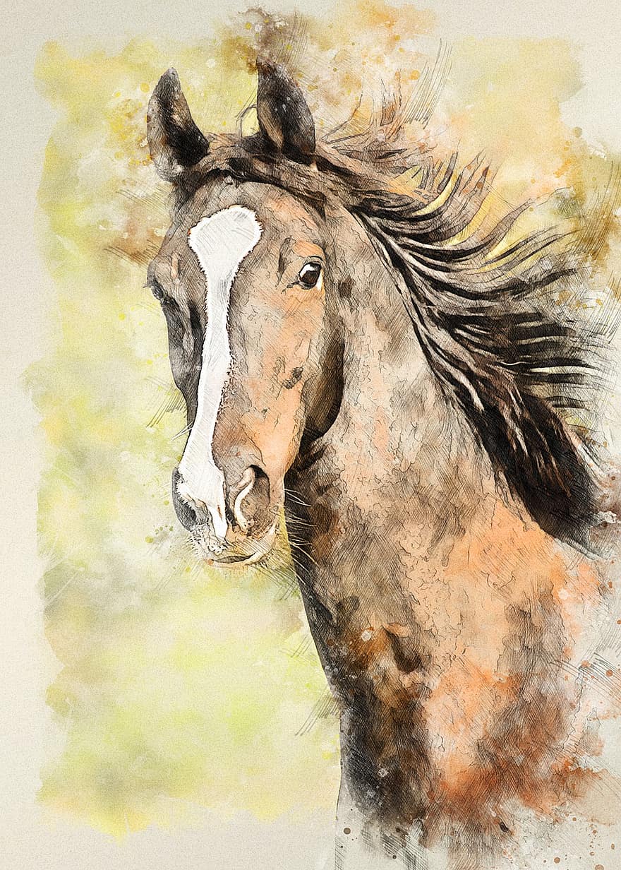 american saddlebred, cal, desen, animal, cabalin, portret, coamă, mamifer, natură, pictură, creativitate