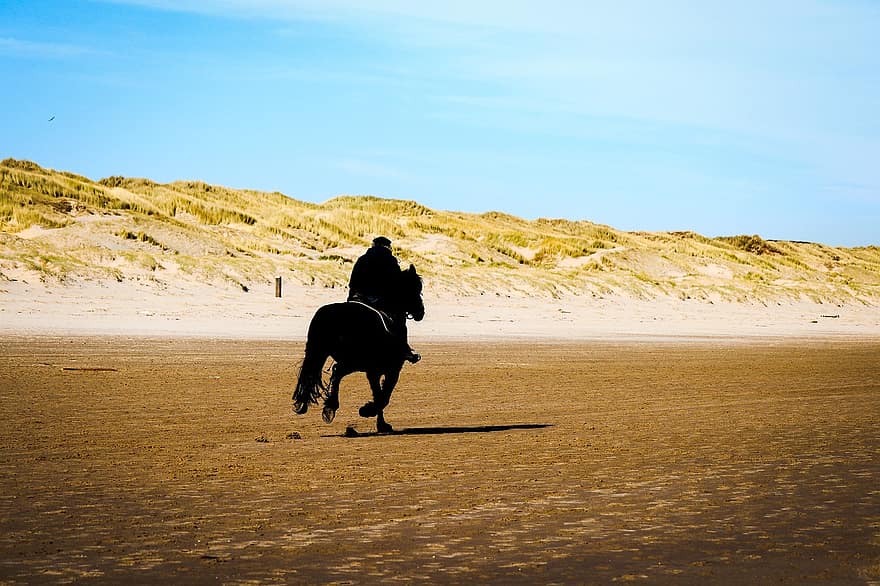 pantai, kuda, pengendara, pasir, menunggang kuda, mencongklang, penunggang kuda, berkuda, bukit pasir, laki-laki, pemandangan