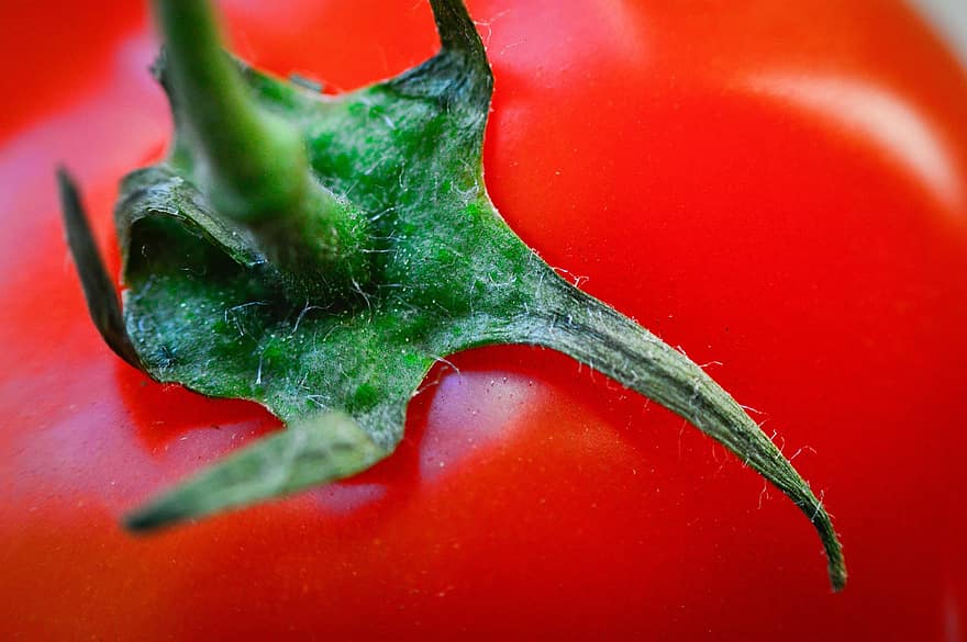 Tomato, Fruit, Close Up, vegetable, freshness, food, close-up, healthy eating, organic, ripe, vegetarian food