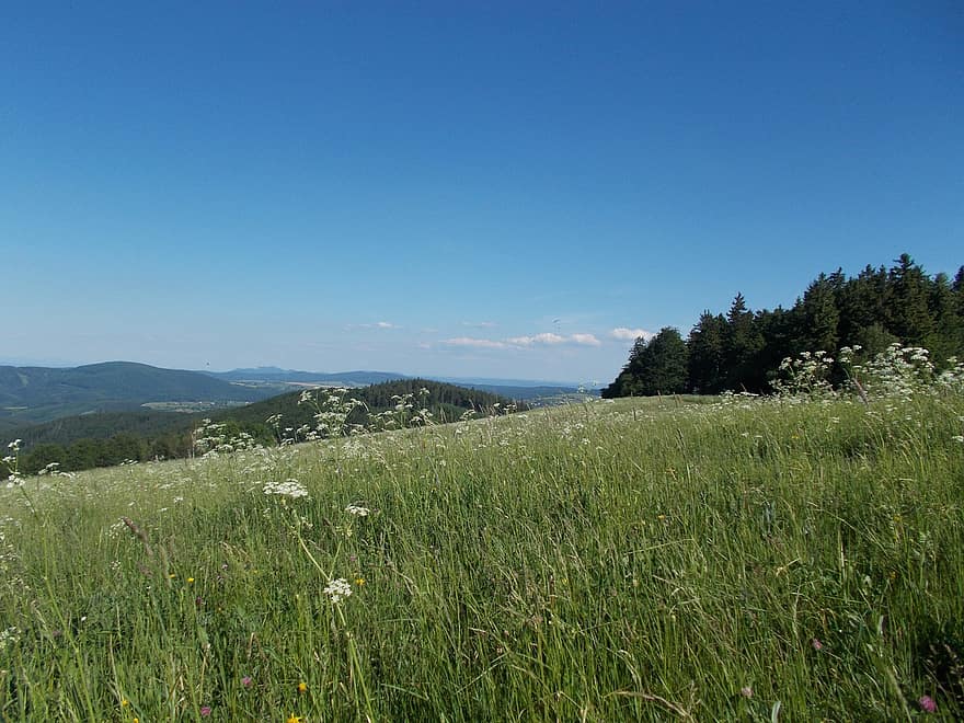 Store Lopeník, hvite karpatere, Tsjekkisk Republikk, Den tsjekkoslovakiske grensen, natur, landskap, utsikt, panorama