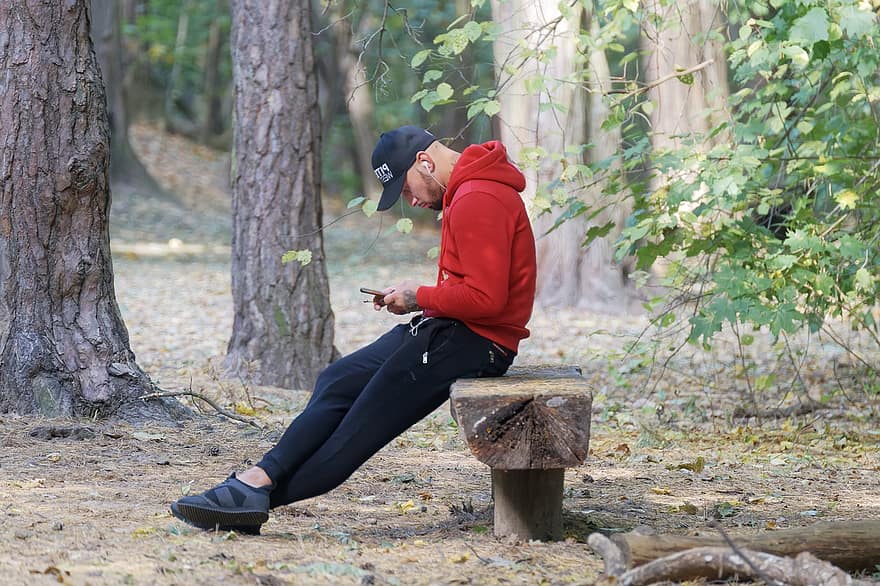людина, смартфон, парк, ліс, ліси, лавка в парку, розслаблення
