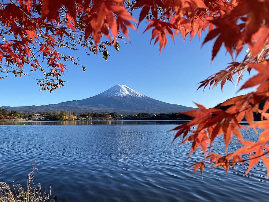 Japani, Fuji-vuori, järvi, syksy, luonto