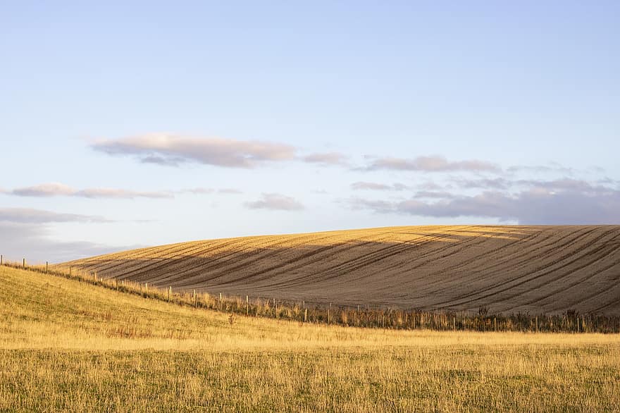 フィールド、干し草畑、田舎、農村、青空、日没、イブニング、夕暮れ、Acudeenshire、スコットランド、田園風景