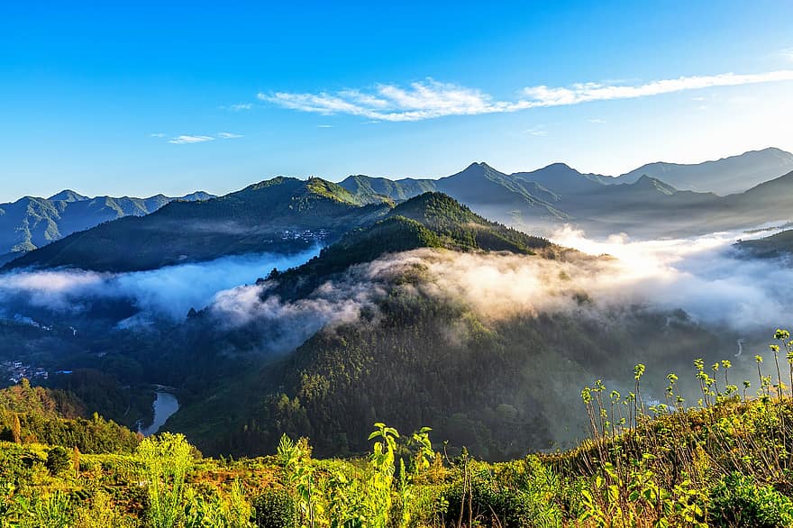 bjerge, eng, tidlig morgen, tåge, tåget landskab, natur