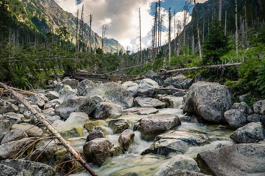 River, Stream, Torrent, Rocks, Stones, Water, Nature, Tatra Mountains, Tatras, Tatra